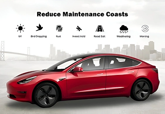 Red Tesla Model 3 with icons above it representing threats like UV, bird droppings, rust, insect acid, road salt, weathering, and marring, with the headline “Reduce Maintenance Coasts” (noting a typo for “Costs”).
